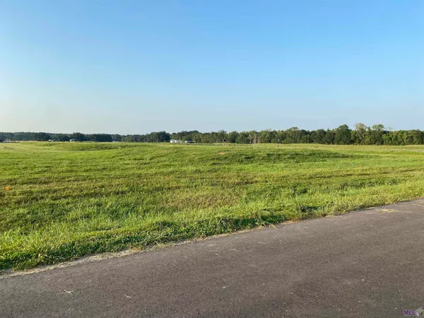 $169,900 | Lot 20 Buddy Gore Road, Gonzales, LA 70737