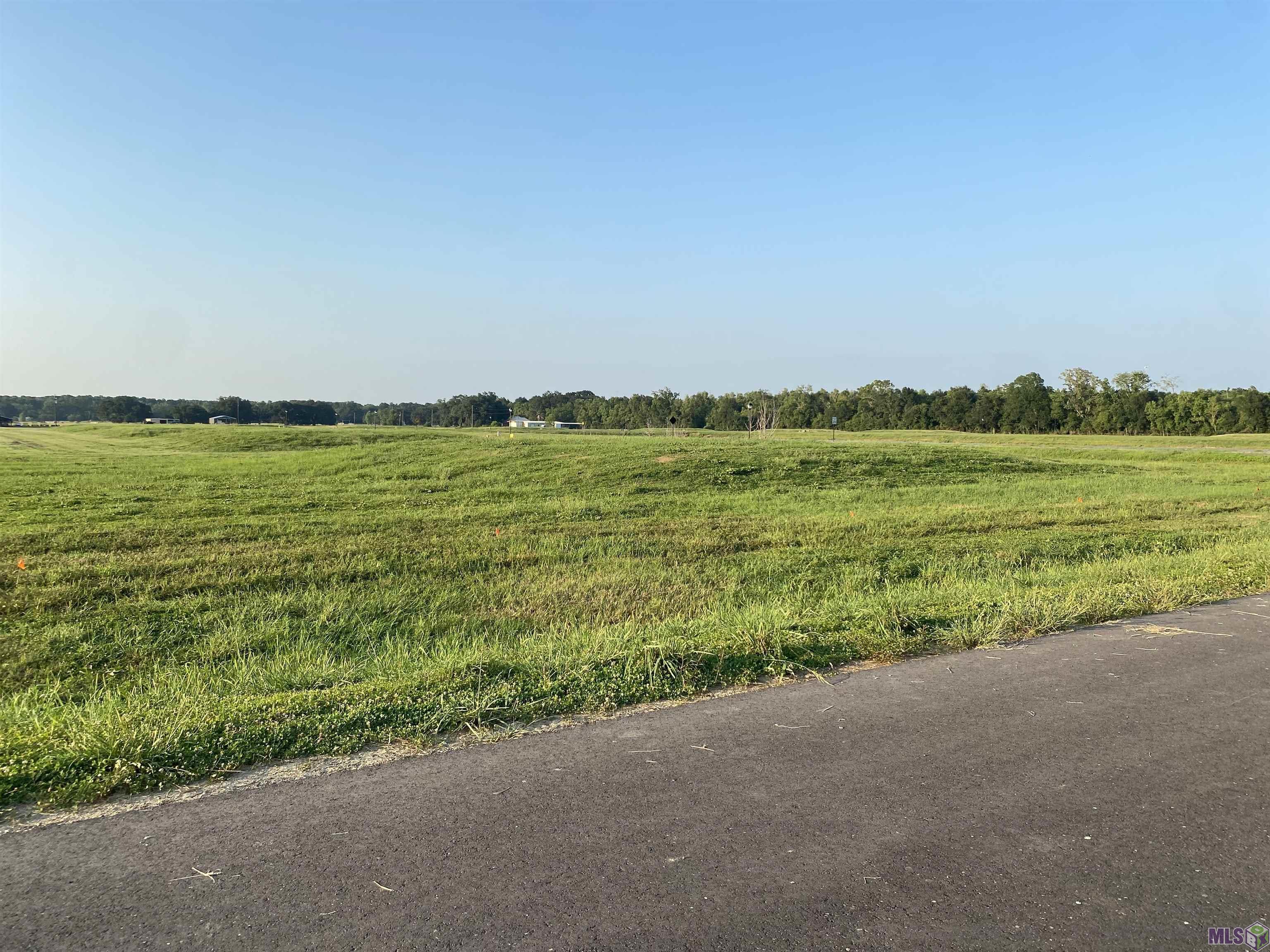 Lot 20 Buddy Gore Road Gonzales, LA 70737 - Photo 4 of 8