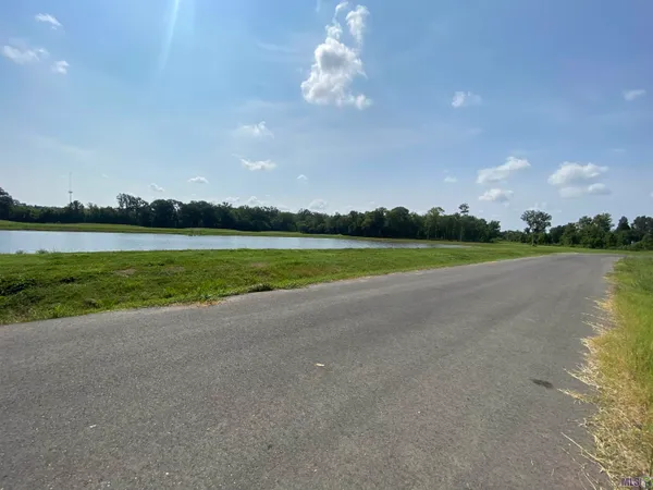 $169,900 | Lot 20 Buddy Gore Road, Gonzales, LA 70737