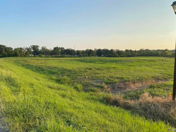 $169,900 | Lot 20 Buddy Gore Road, Gonzales, LA 70737