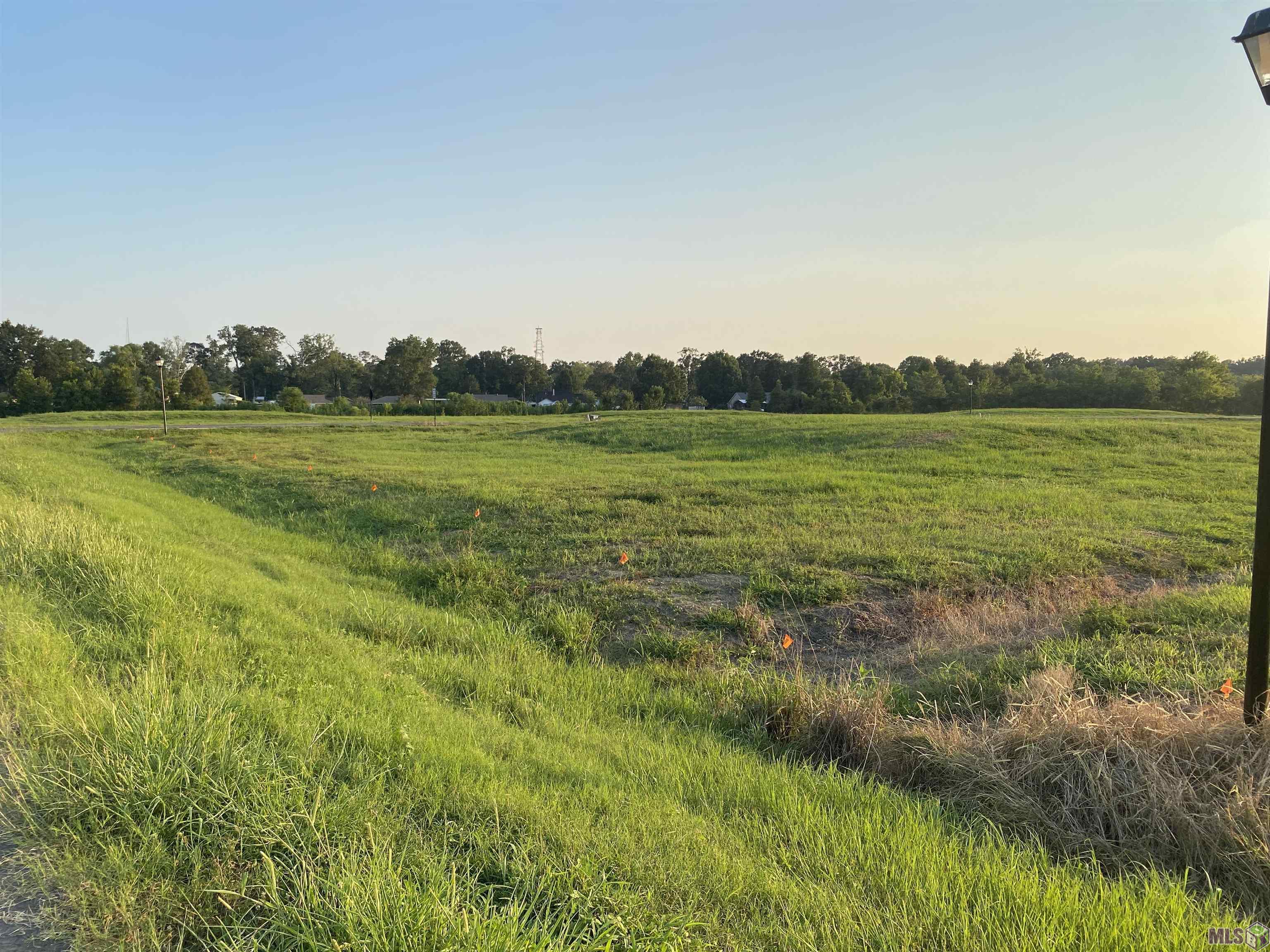 Lot 20 Buddy Gore Road Gonzales, LA 70737 - Photo 7 of 8