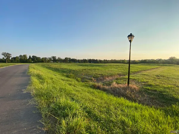 $169,900 | Lot 20 Buddy Gore Road, Gonzales, LA 70737