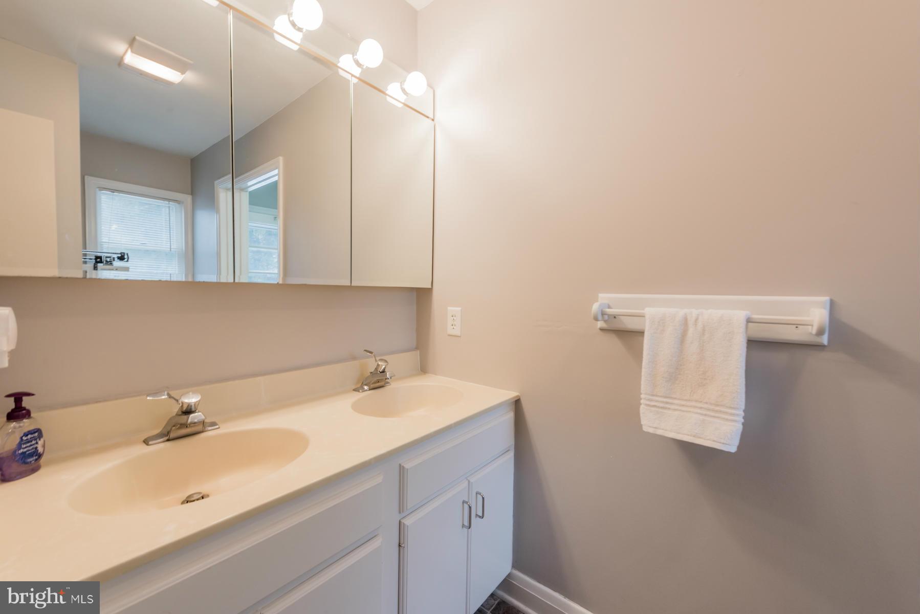 1210 Belfast Road Sparks, MD 21152 - Photo 17 of 29 a bathroom with a sink and a mirror
