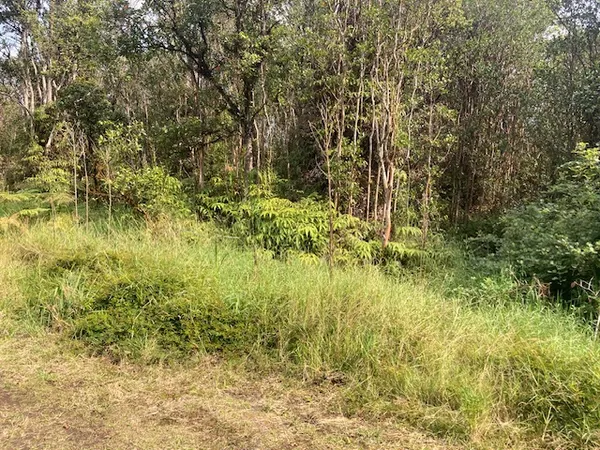 $20,500 | 284 Road 5 Volcano Hi 96785, Mountain View, HI 96771