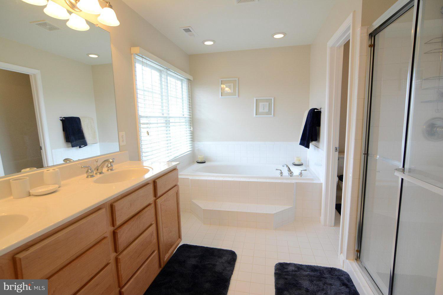 13242 Braddock Road Clifton, VA 20124 - Photo 16 of 30 Bath (Master)
