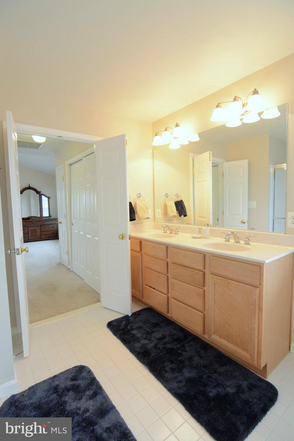 13242 Braddock Road Clifton, VA 20124 - Photo 17 of 30 Bath (Master)