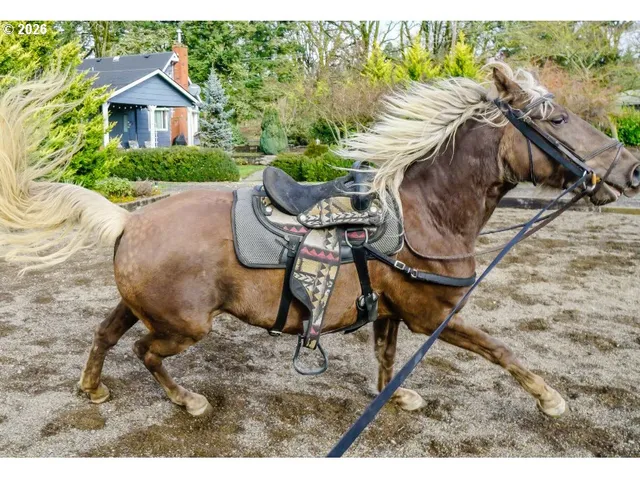 $795,000 | 24618 Highway 99, Junction City, OR 97448