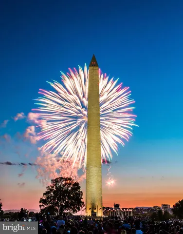 a view of a house with a small yard and a palm tree