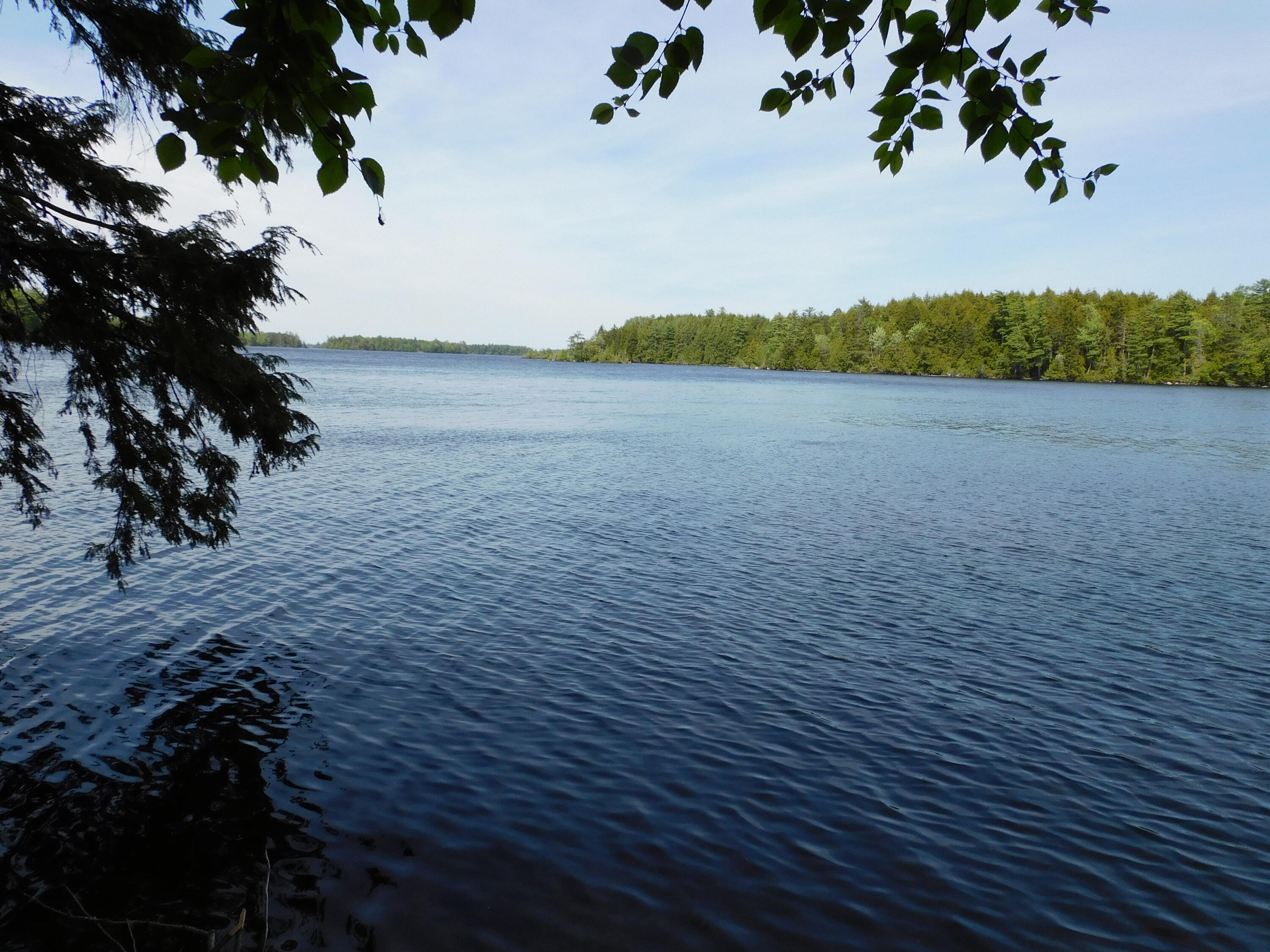Lot 2 Big Lake Shores Road Princeton, ME 04668 - Photo 2 of 10 DSCN0090
