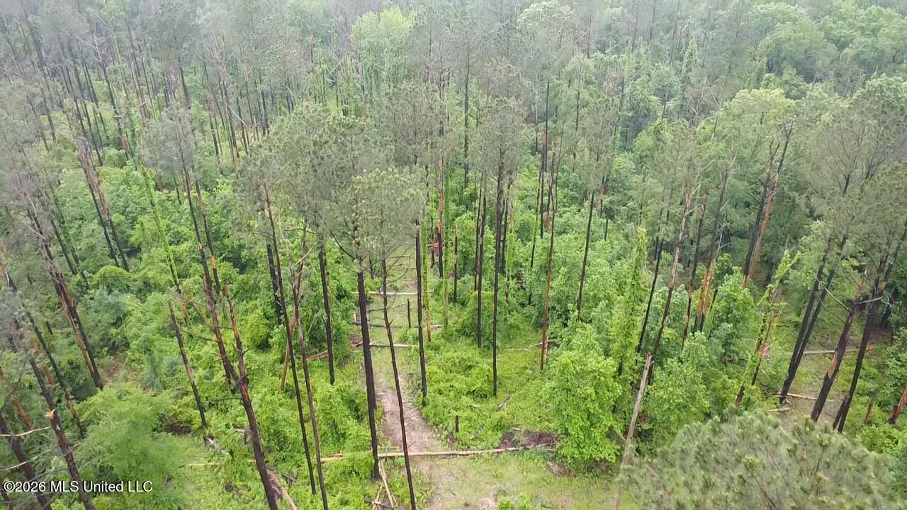 Ford Lane Crystal Springs, MS 39059 - Photo 3 of 15 2026-04-30-12-30-06-704