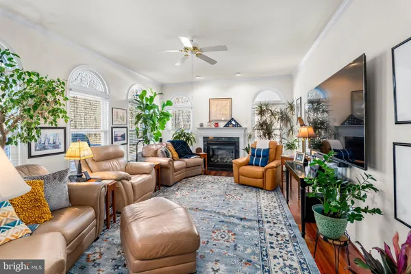 a living room with furniture potted plant and a fireplace
