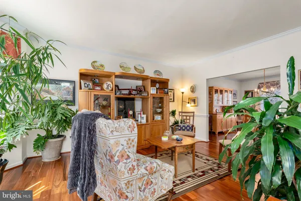 a living room with furniture a potted plant and a book shelf