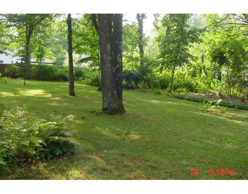 40 Winding Lane Springfield, MA 01118 - Photo 12 of 15 a view of a field with a tree