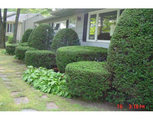 40 Winding Lane Springfield, MA 01118 - Photo 3 of 15 a view of a garden in front of a house