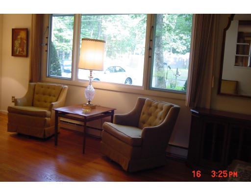 40 Winding Lane Springfield, MA 01118 - Photo 5 of 15 a living room with furniture and a window