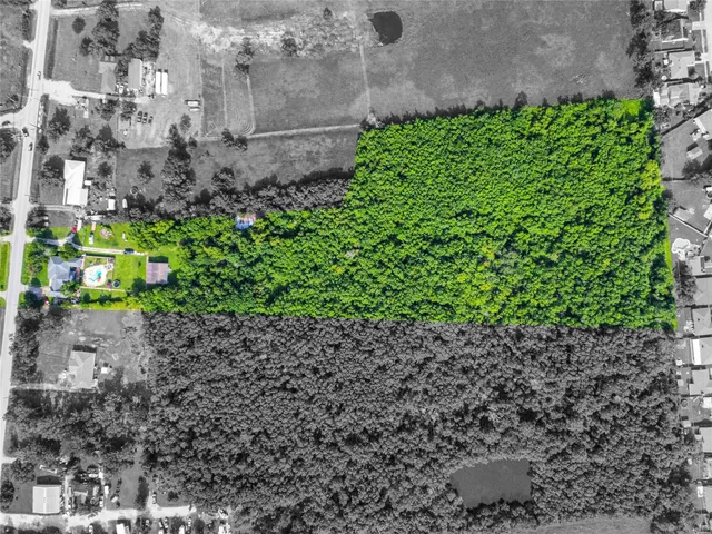 a green field with lots of plants and trees