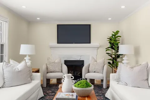 a living room with furniture a potted plant and a fireplace