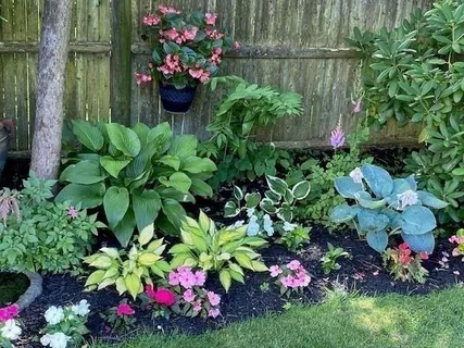 a view of a garden with plants and a bench
