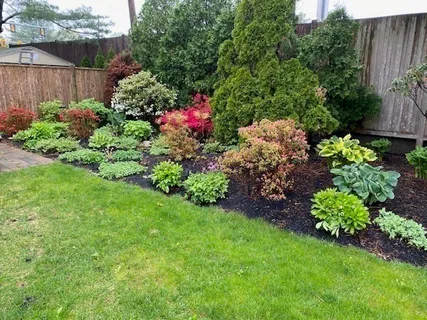 a view of a flower in a garden