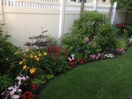 a garden view with a garden