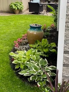 a bunch of flowers in front of the house