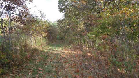 Vl Rogers Road, Unit VL Parma, MI 49269 - Photo 19 of 30