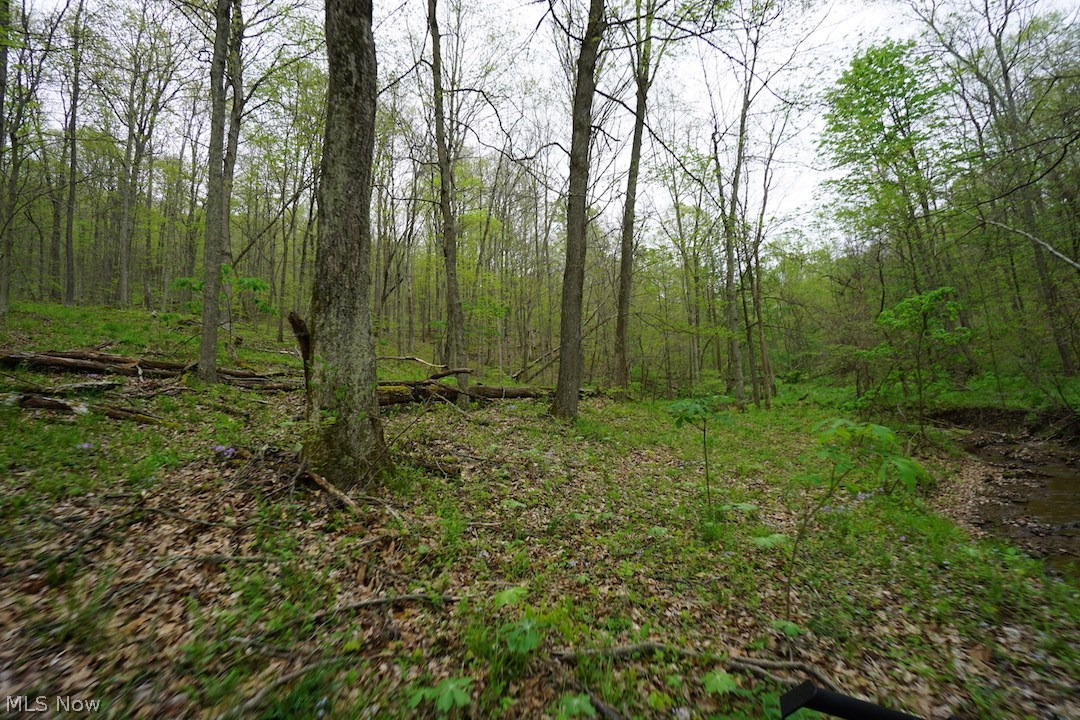 Dutch Creek Road Athens, OH 45701 - Photo 15 of 28