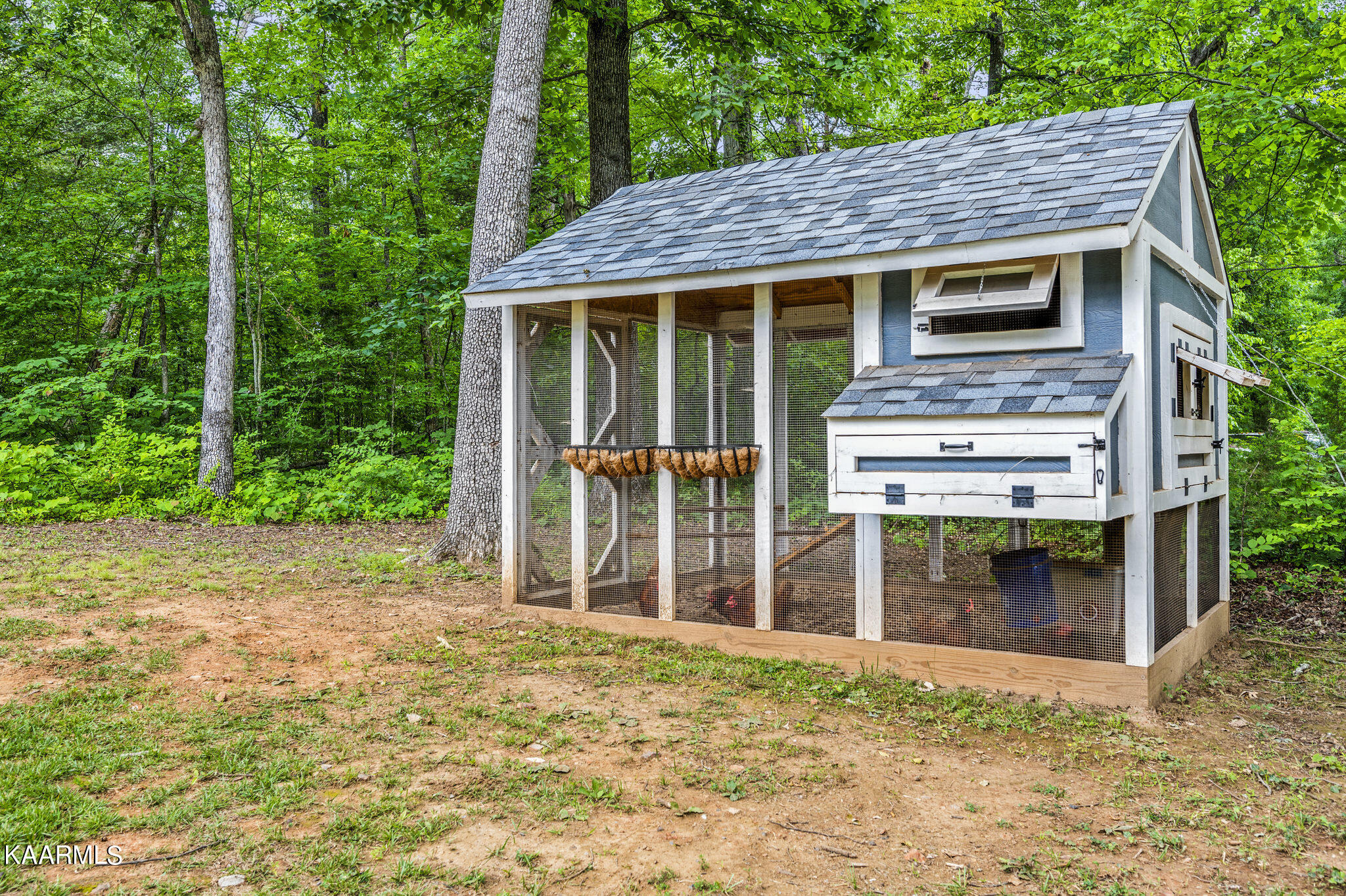 971 Missionary Ridge Road Newport, TN 37821 - Photo 43 of 55 JCM_3225