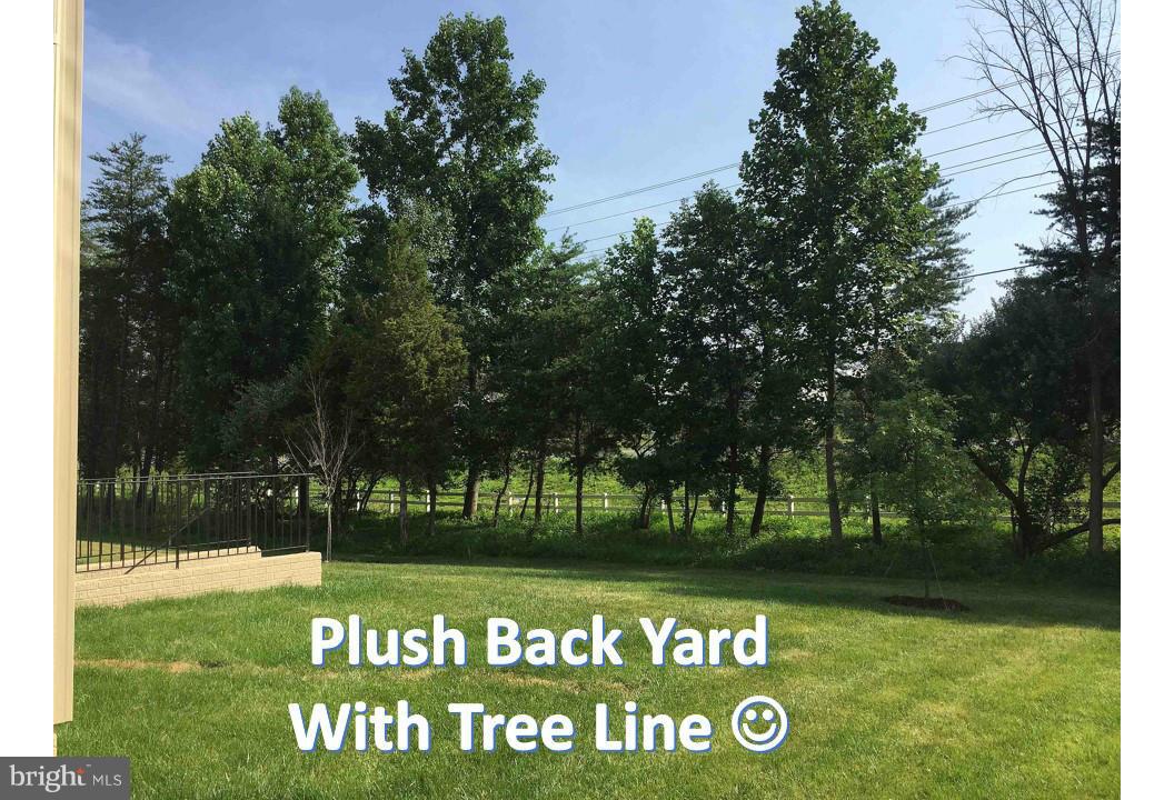14761 Bell Tower Road Woodbridge, VA 22193 - Photo 2 of 29 Exterior (Rear)