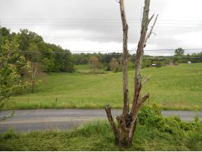 3490 Bright Hope Road Greeneville, TN 37743 - Photo 13 of 16 Photo 13