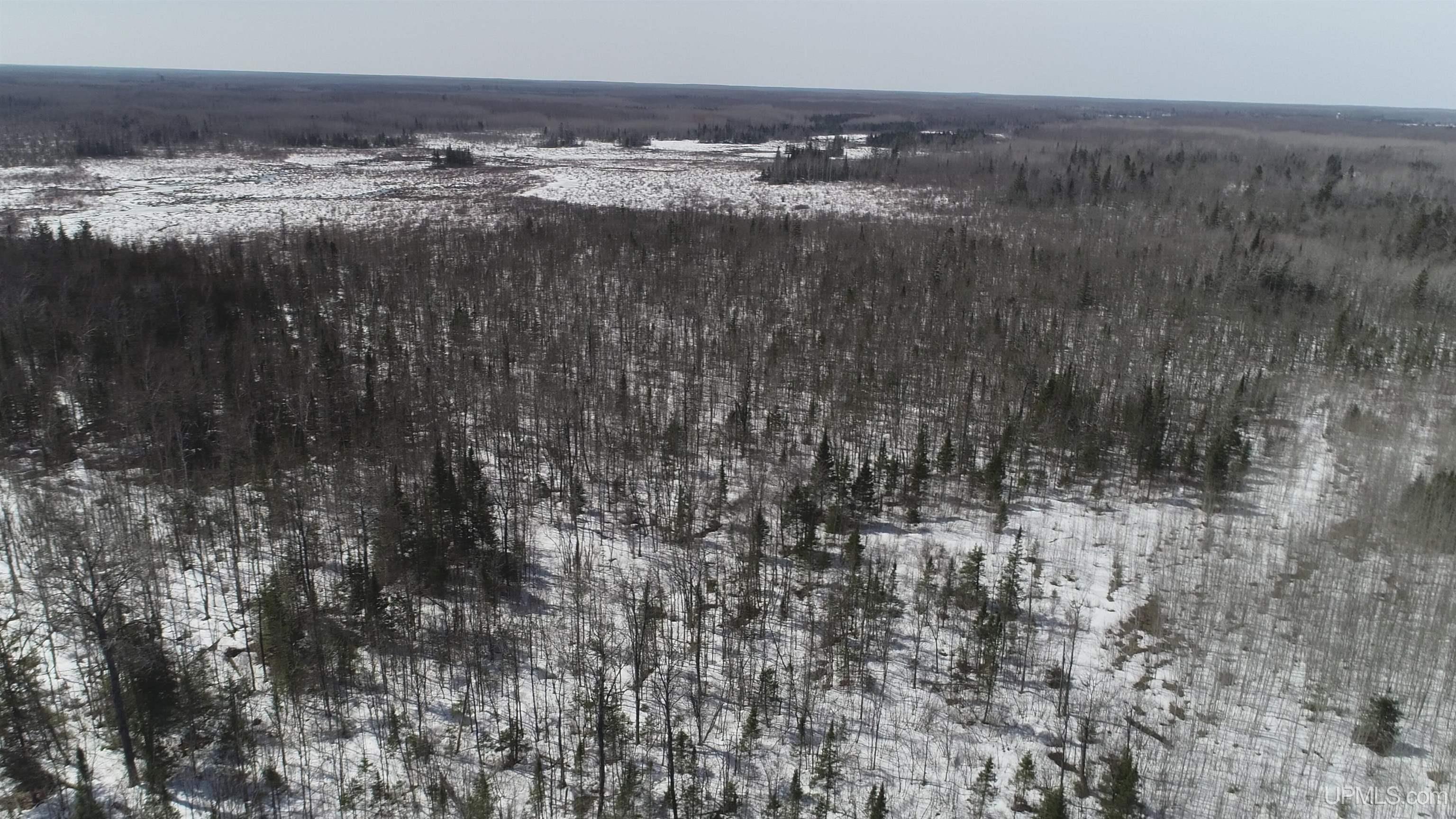 V25 Rd Trenary Mi 49891 Road Rapid River, MI 49878 - Photo 13 of 28