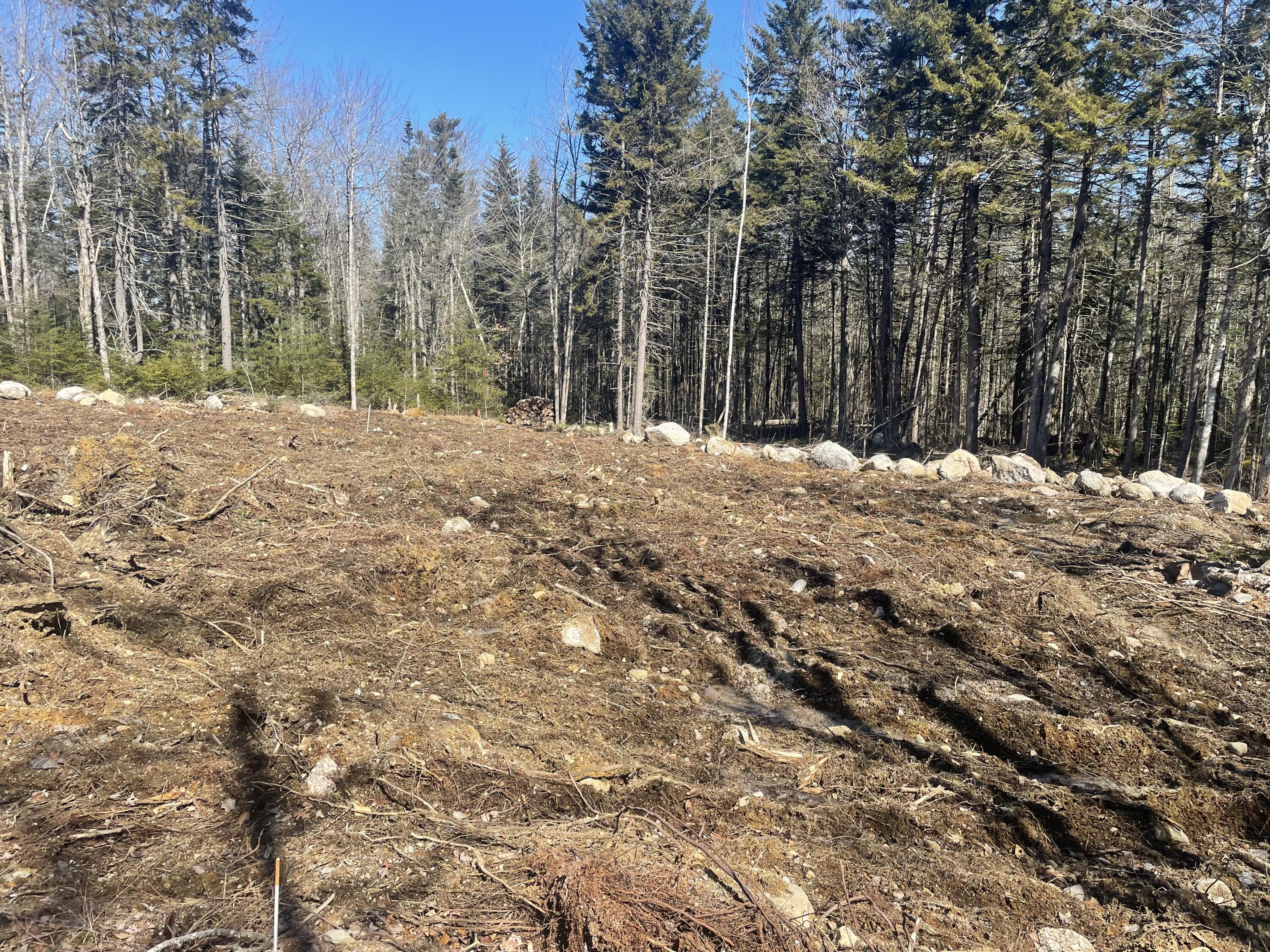Map19-lot60 High Point Drive Penobscot, ME 04476 - Photo 7 of 15 image00007