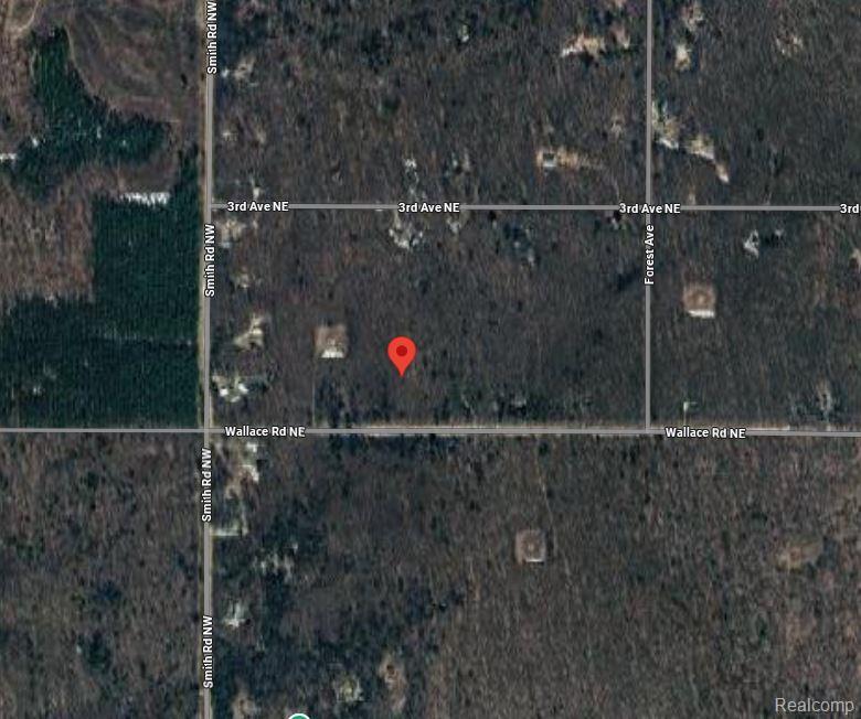 207 Wallace Road Northeast Alden, MI 49612 - Photo 7 of 7
