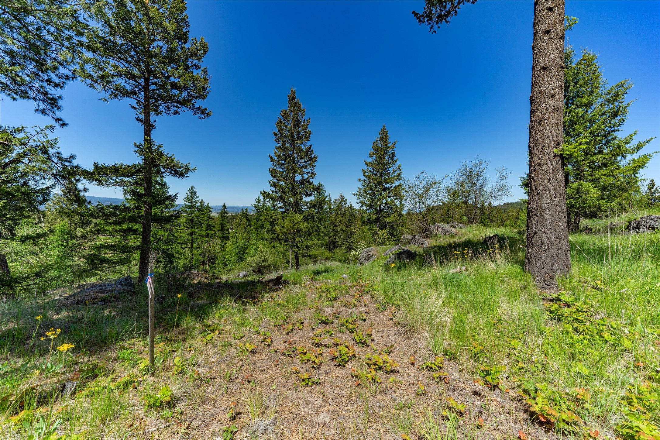 1193 Whispering Rock Road Bigfork, MT 59911 - Photo 45 of 48 Gallery Image 45