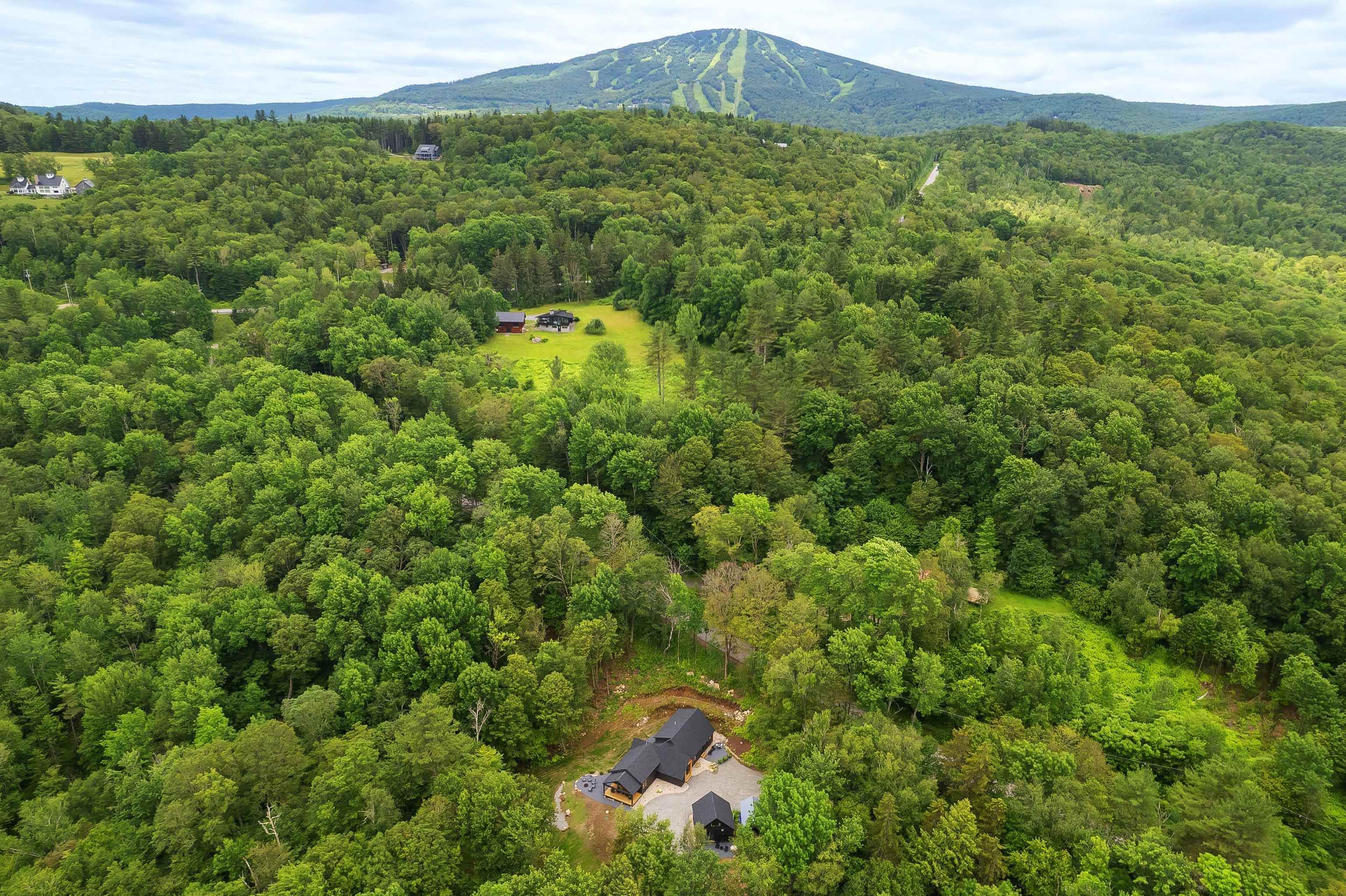 65 Lower Taylor Hill Road Winhall, VT 05340 - Photo 5 of 59