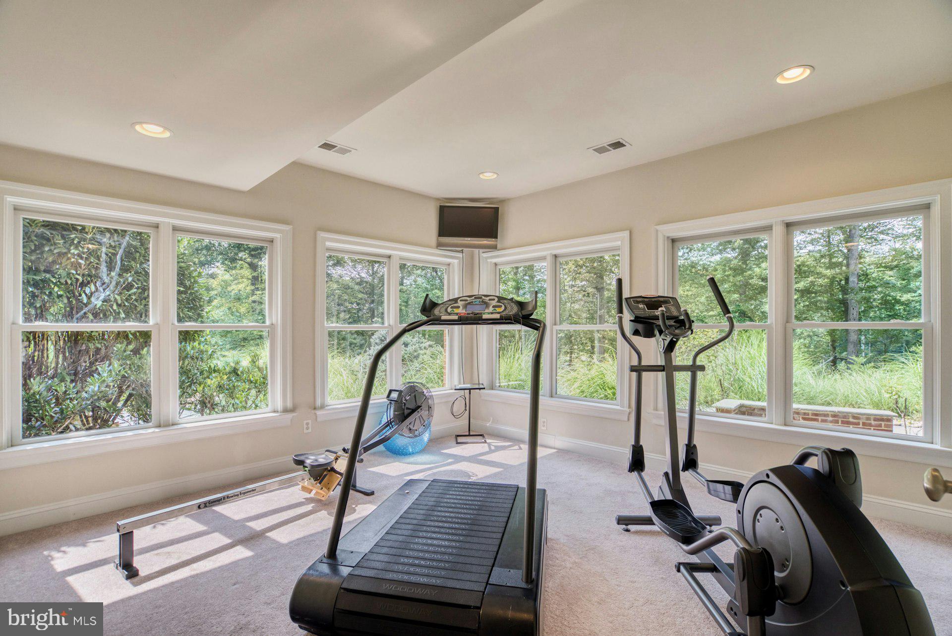 10300 Hampton Road Fairfax Station, VA 22039 - Photo 63 of 89 Exercise Room on Lower Level