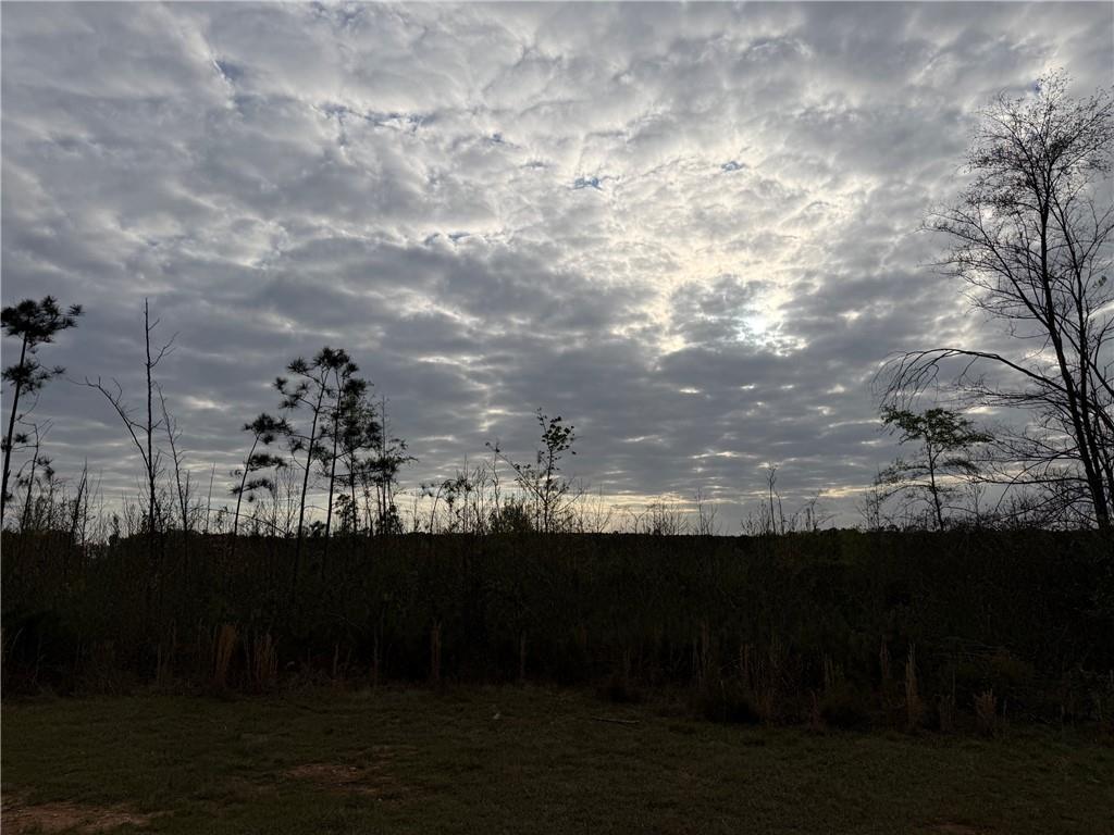 0 Lunceford Road Northeast Rayle, GA 30660 - Photo 3 of 8