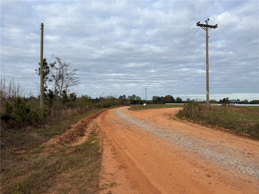 0 Lunceford Road Northeast Rayle, GA 30660 - Photo 4 of 8