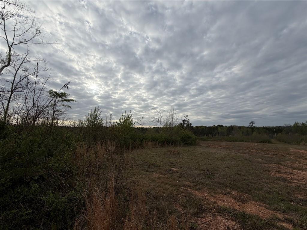 0 Lunceford Road Northeast Rayle, GA 30660 - Photo 8 of 8