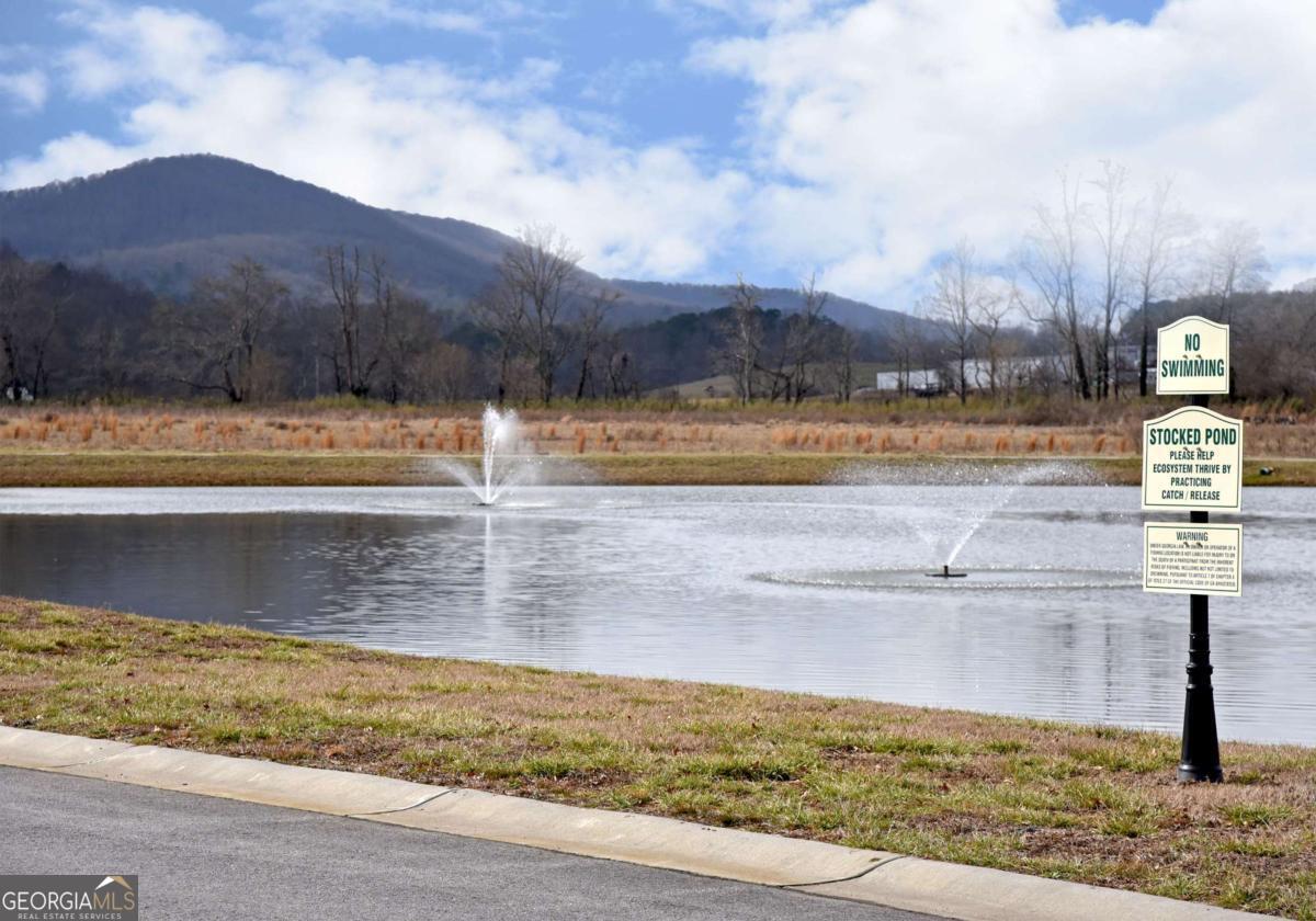 278 Foggy Mountain Road Blairsville, GA 30512 - Photo 27 of 31 a view of swimming pool with mountain and lake view