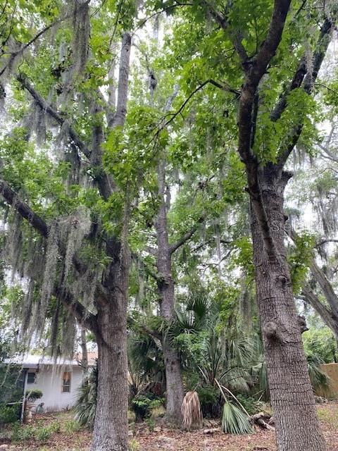 6442 Treehaven Drive Spring Hill, FL 34606 - Photo 25 of 25