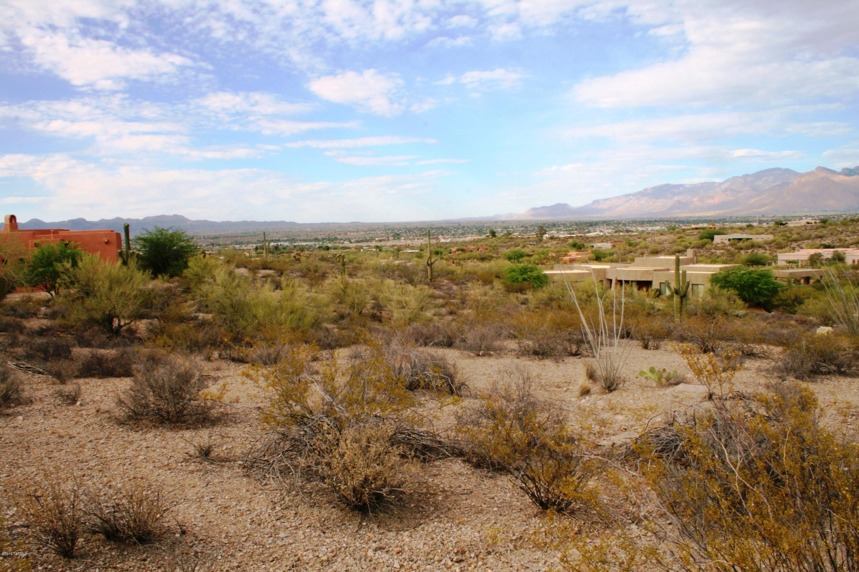 6075 North Abington Road, Unit LOT 4 Tucson, AZ 85743 - Photo 19 of 31