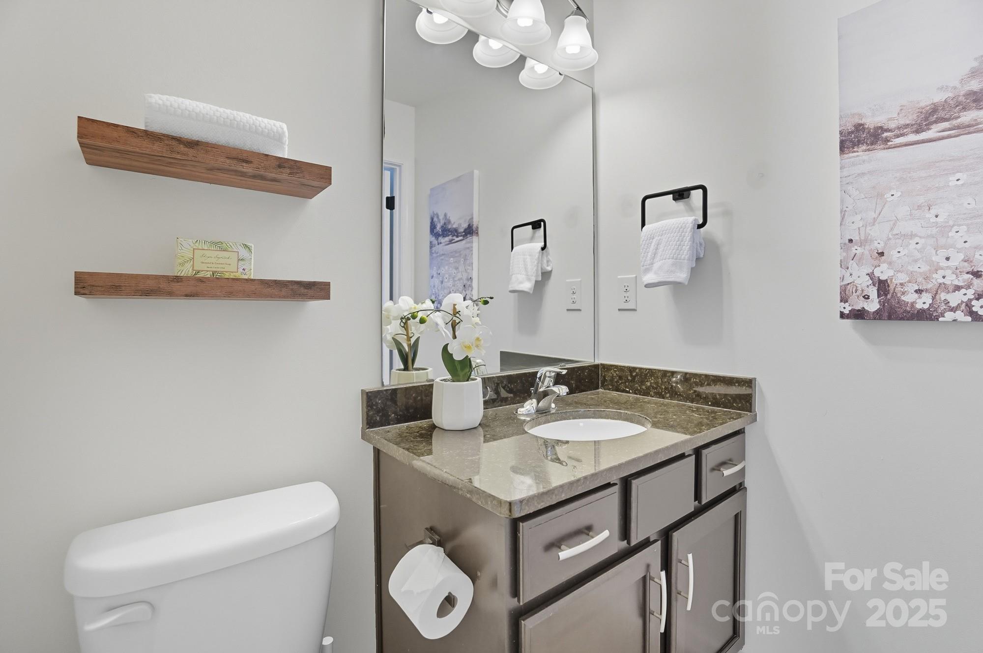 310 Annatto Way Fort Mill, SC 29708 - Photo 42 of 48 a bathroom with a sink a toilet and a mirror