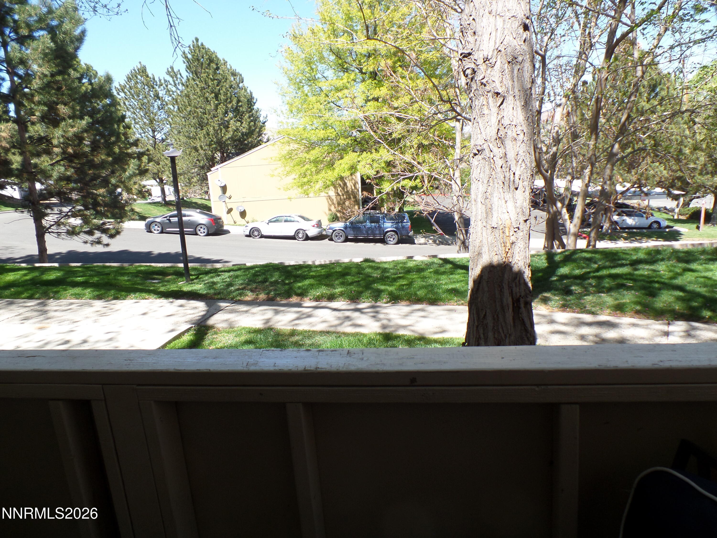 3890 East Leonesio Drive, Unit D1 Reno, NV 89512 - Photo 25 of 32 a view of a yard with yellow plants and trees