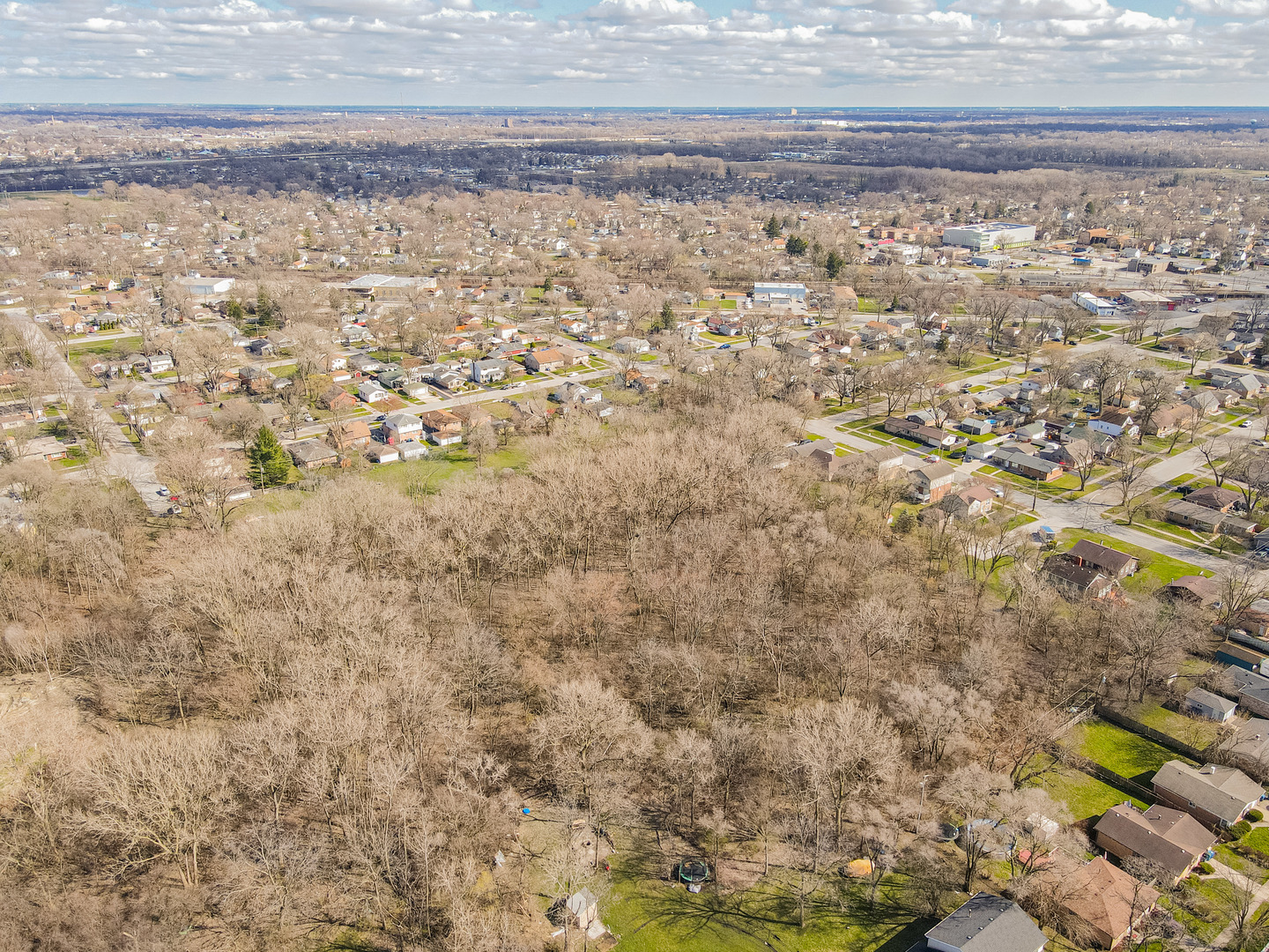 14301 Hamlin Avenue Midlothian, IL 60445 - Photo 6 of 9 a view of a yard