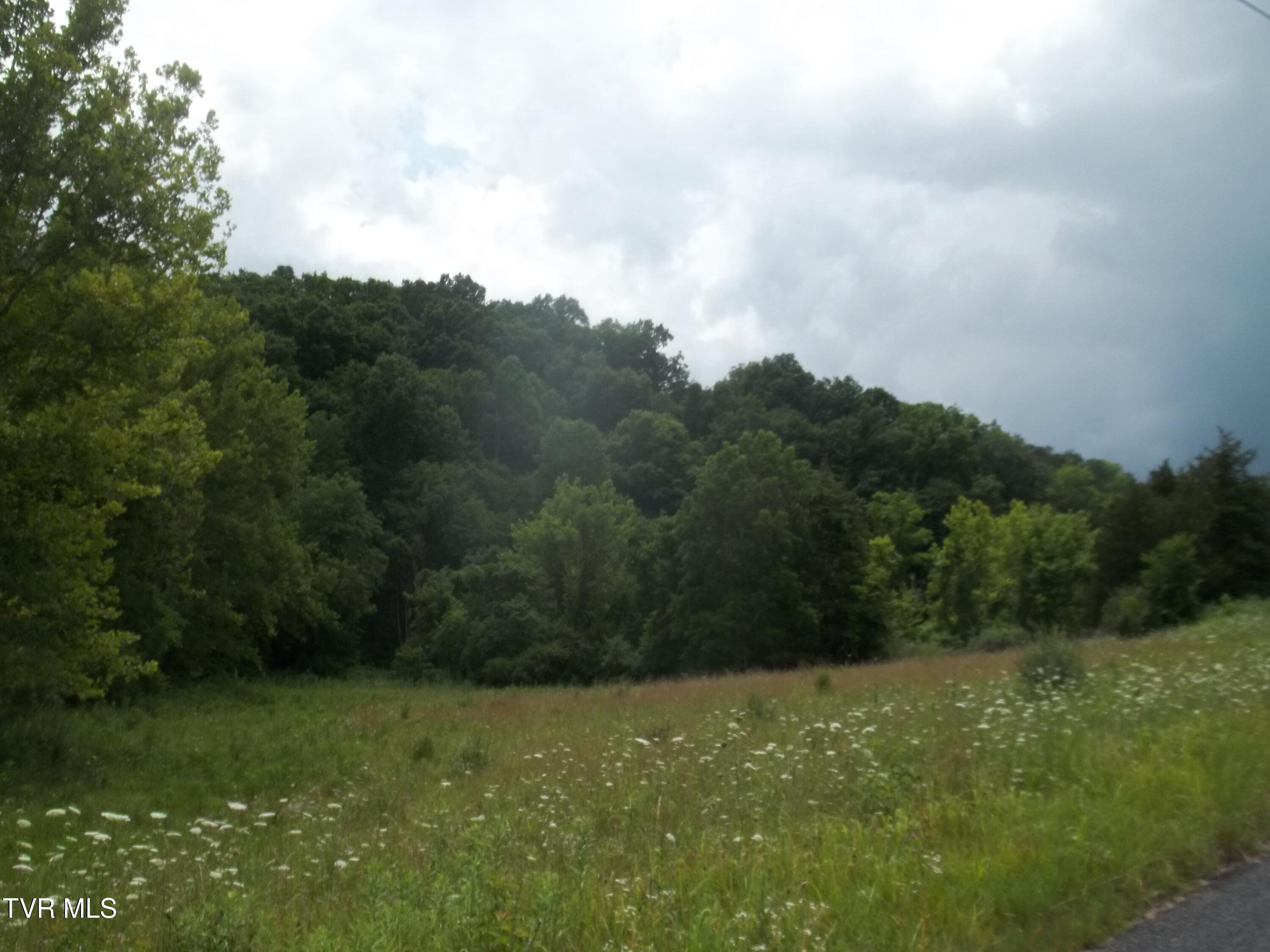 0 War Creek Road Eidson, TN 37731 - Photo 12 of 12 100_2178