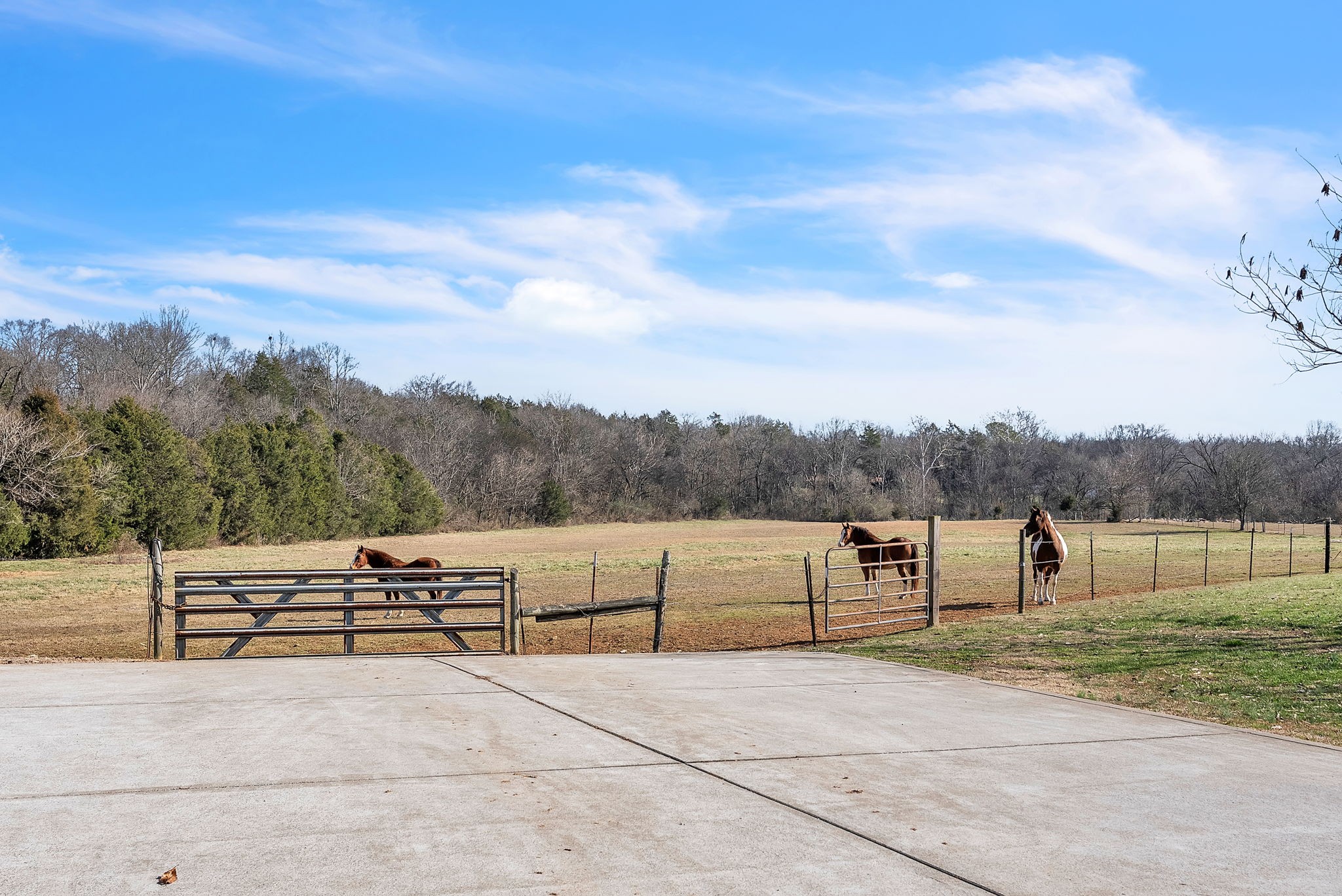 2557 Verona Caney Road Lewisburg, TN 37091 - Photo 24 of 32