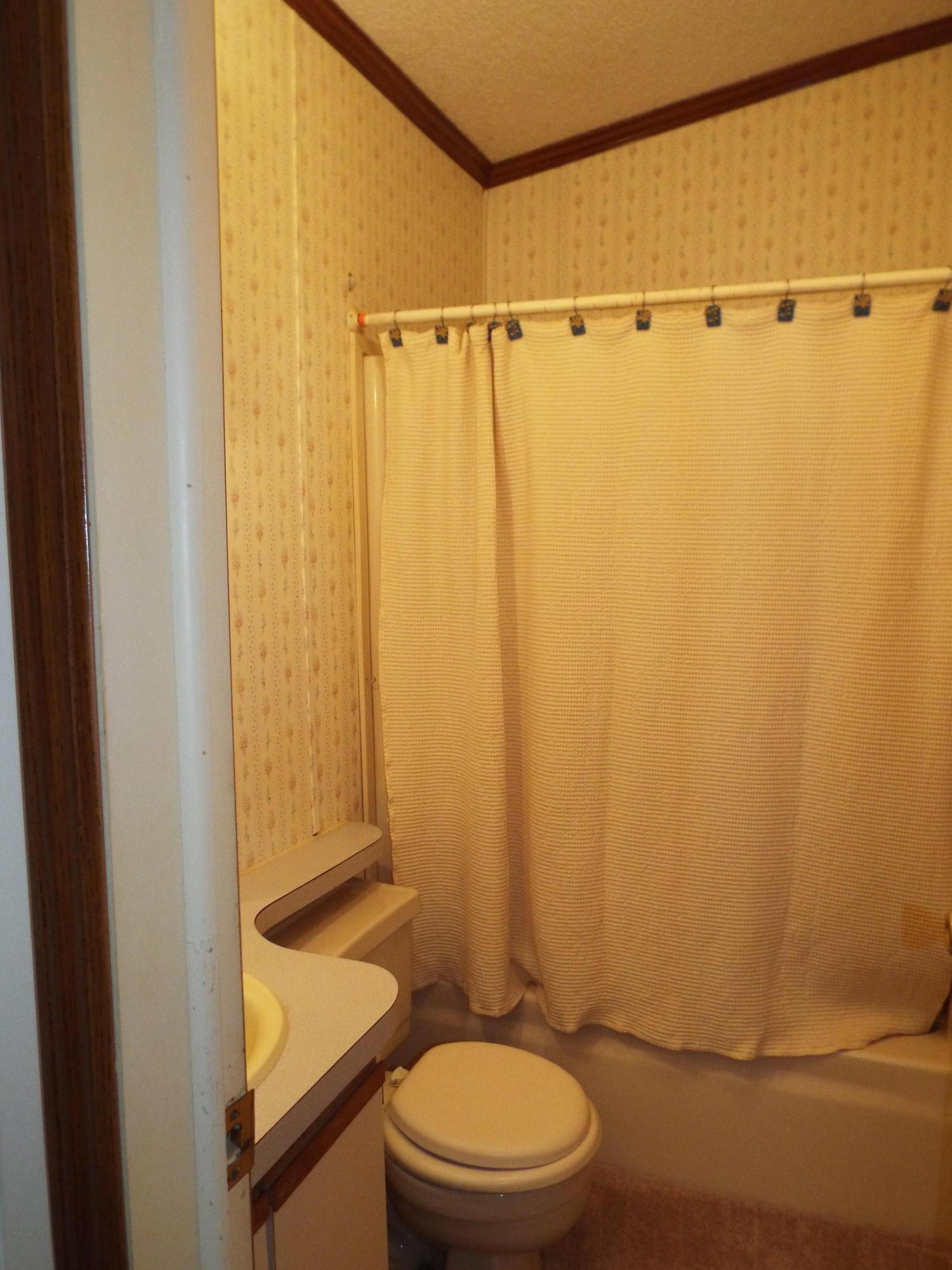 335 Thompson Way Cosby, TN 37722 - Photo 33 of 37 DSCF3361