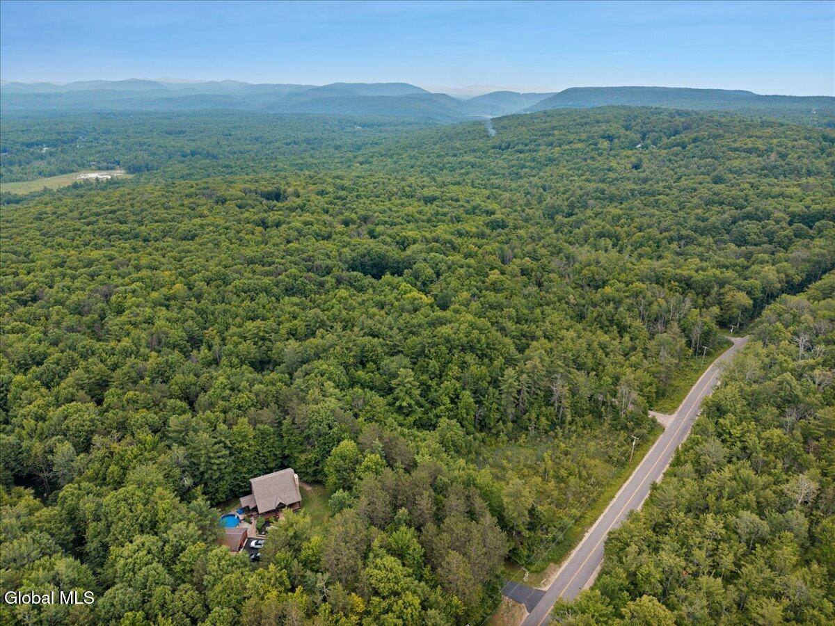 50 Lincoln Mountain Road Corinth, NY 12822 - Photo 4 of 13 08-50 Lincoln Mountain Rd-8