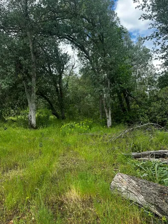 $50,000 | Darlene's Way, Anderson, CA 96007